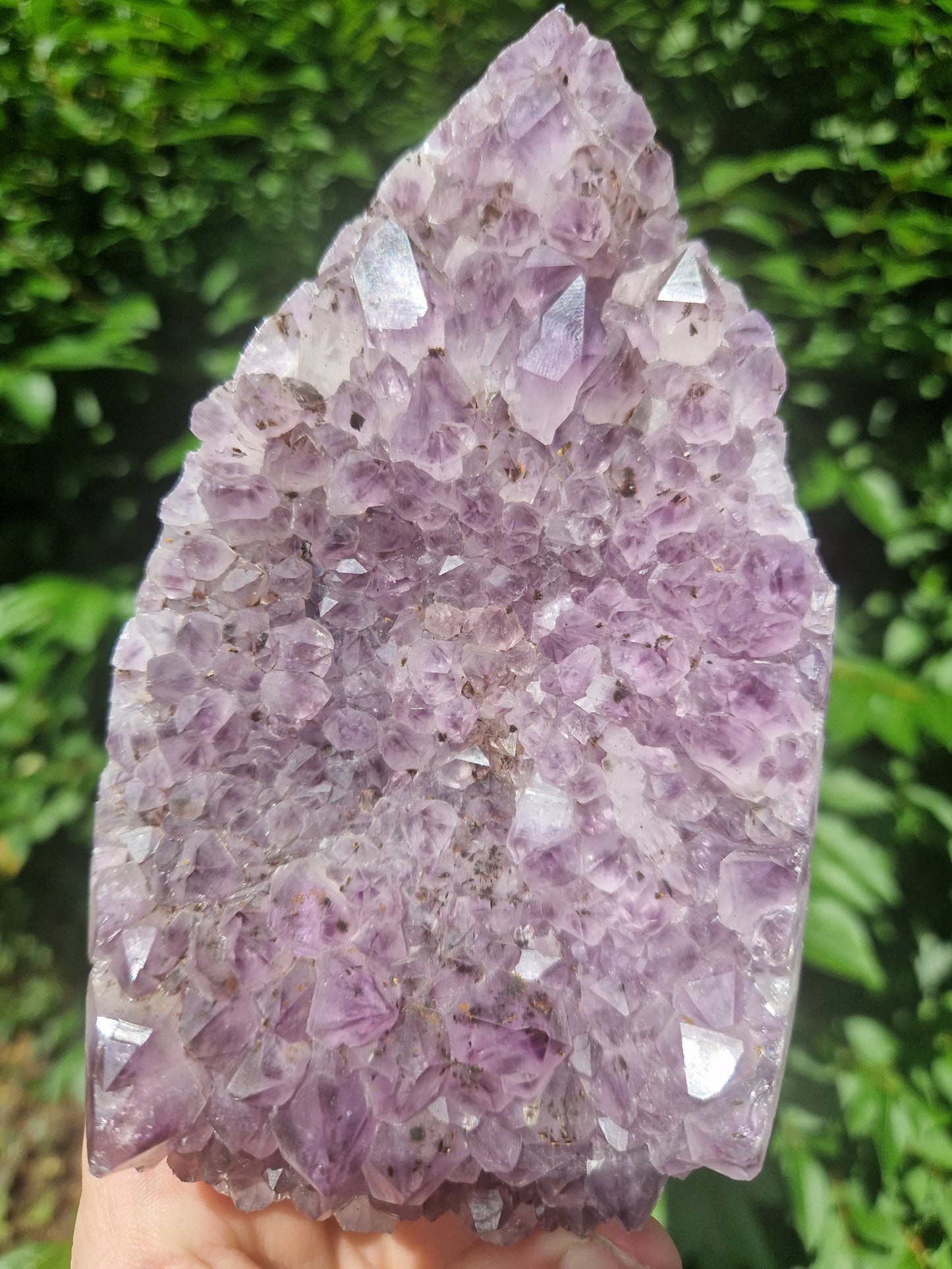 Purple Amethyst Flame