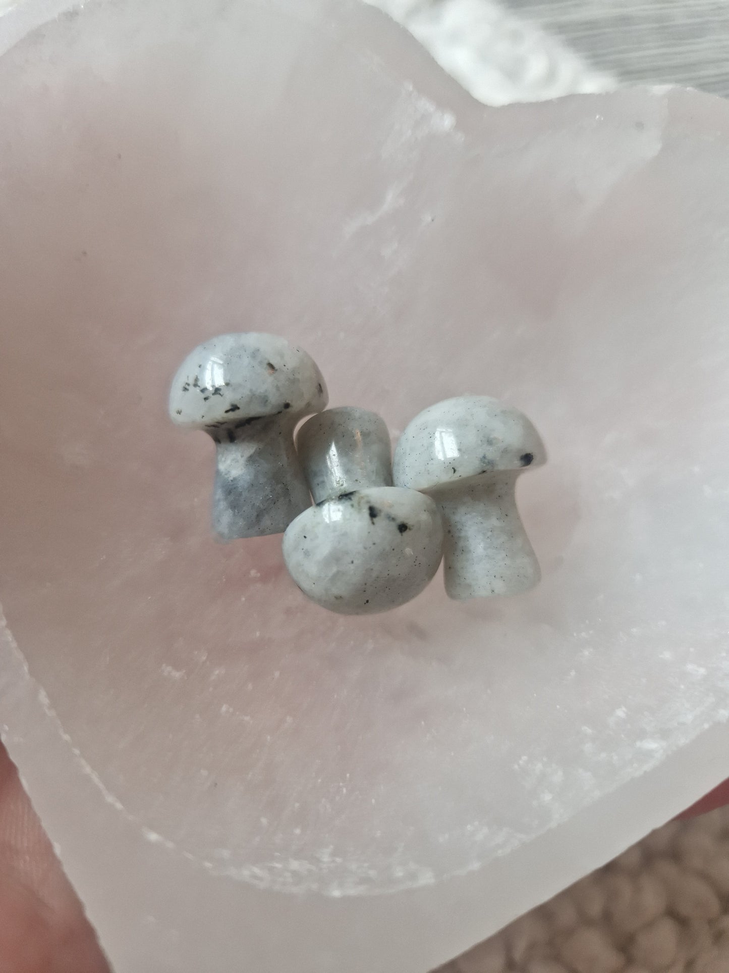 Labradorite Mushrooms